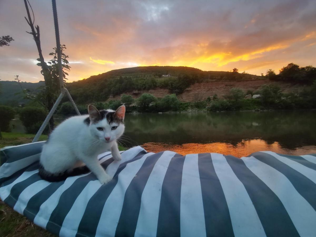 Prenociste Na Drini Foca Panzió Kültér fotó